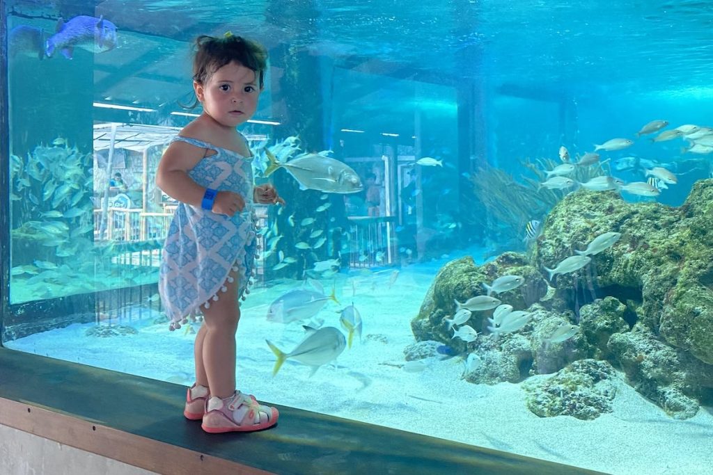 Visita al acuario de Rodadero cerca de Santa Marta